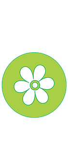 Green Background White Flower Icon PNG Image