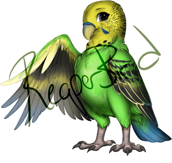 Green Budgie Spreading Wings PNG Image