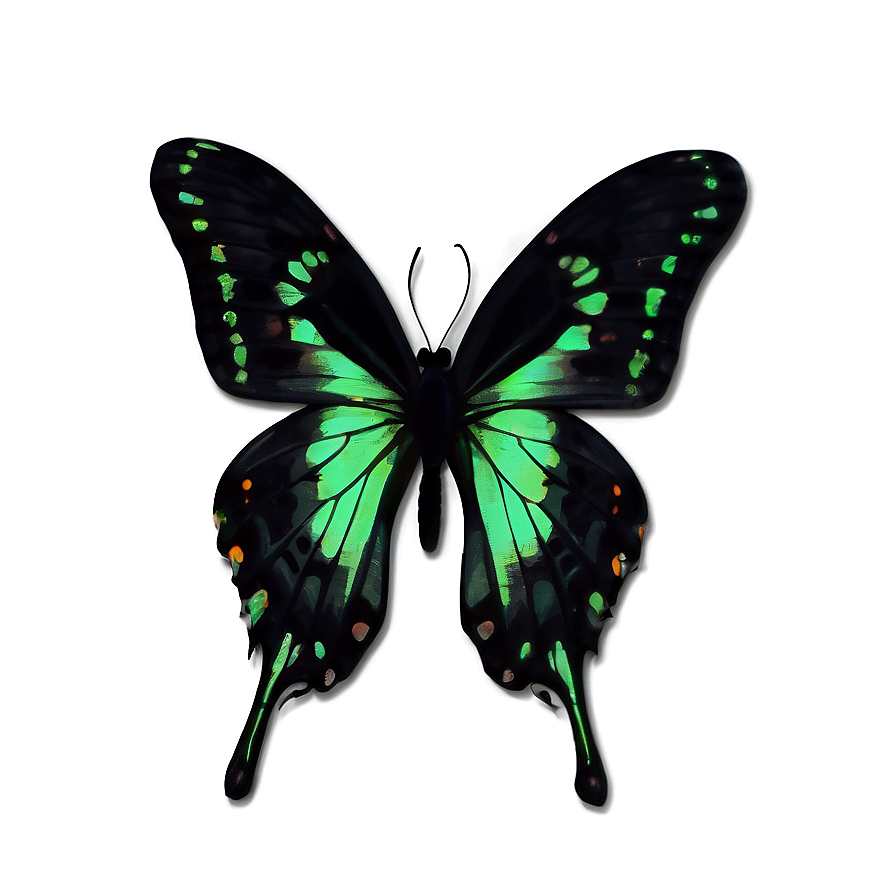 Green Butterfly On Black Background Png Osy PNG Image