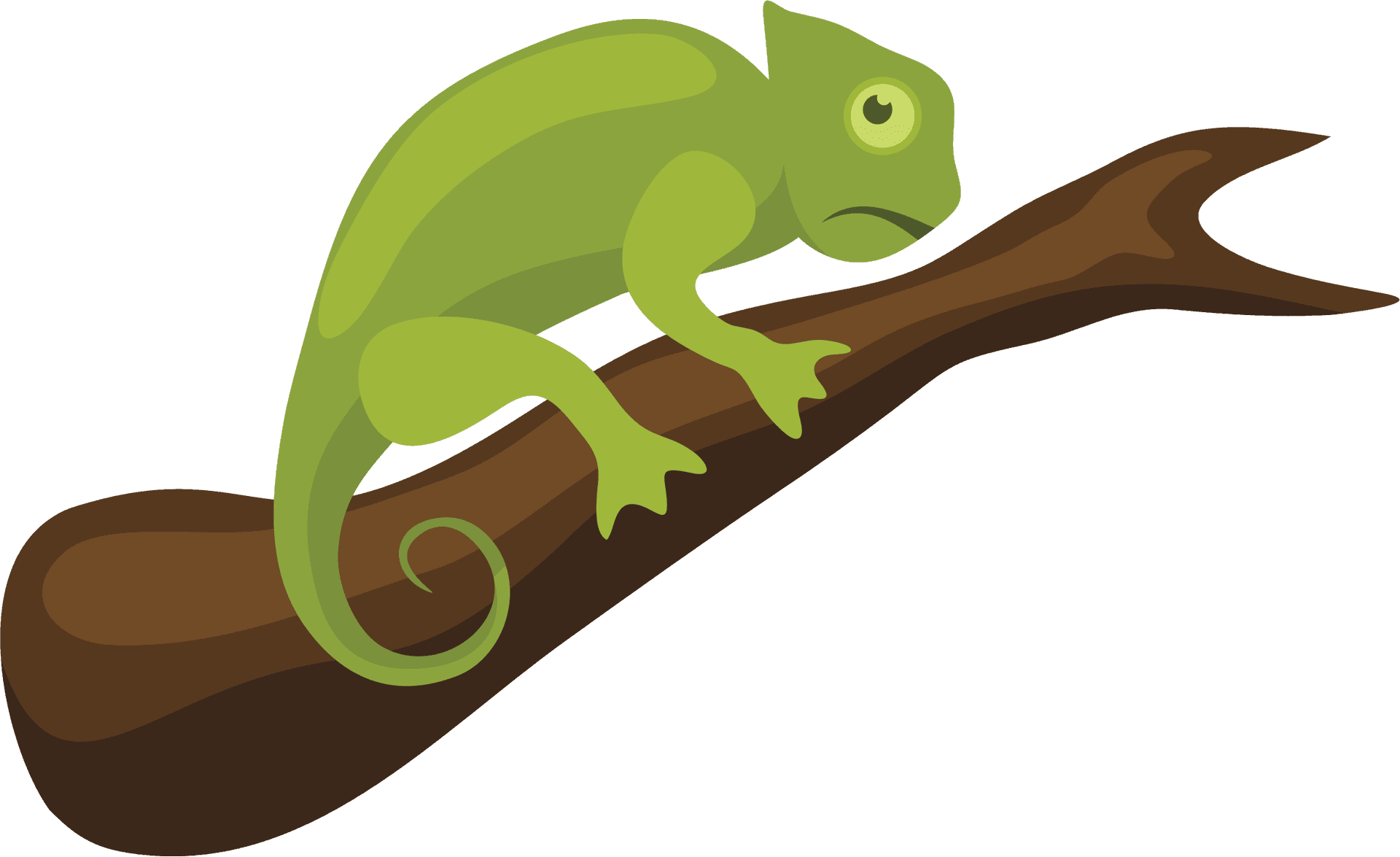 Green Chameleonon Branch PNG Image