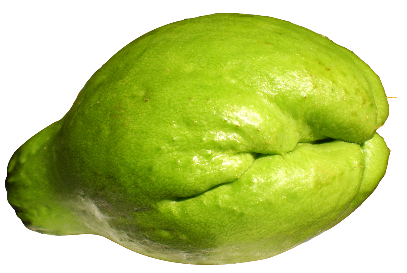 Green Citrus Fruit Texture PNG Image