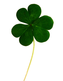 Green Clover Black Background PNG Image