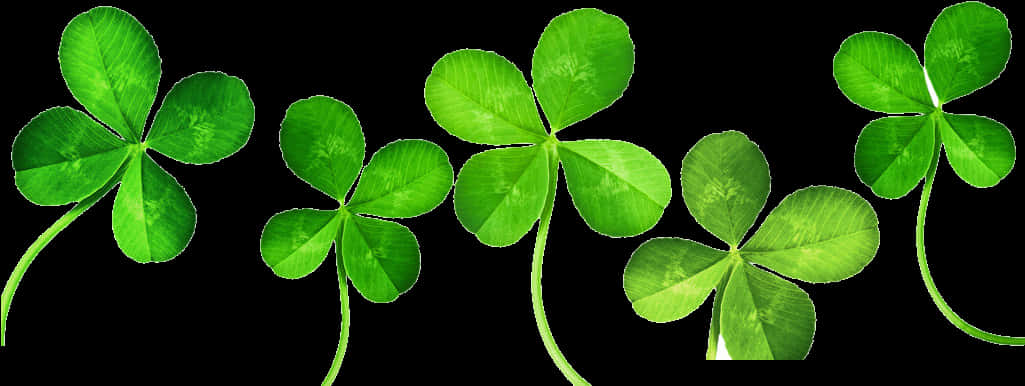 Green Clover Leaf Clipart PNG Image