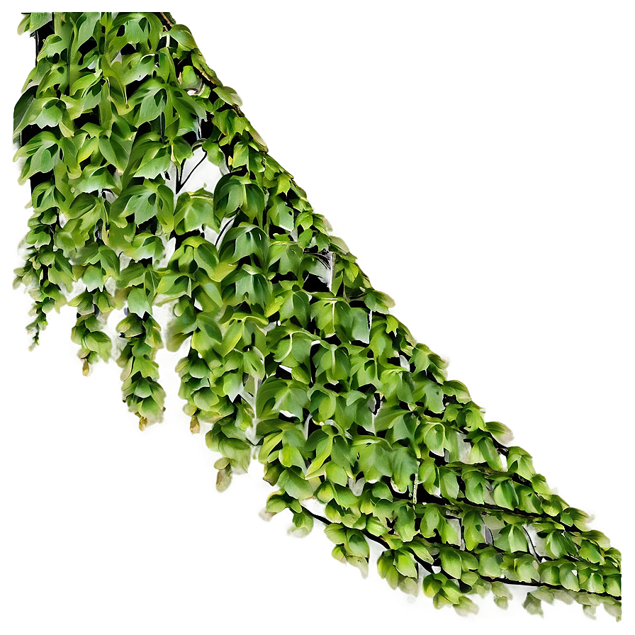 Green Creeper Texture Png Piy PNG Image