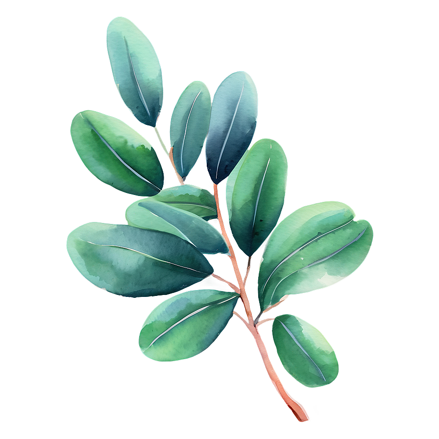 Green Eucalyptus Watercolor Illustration Png 06272024 PNG Image