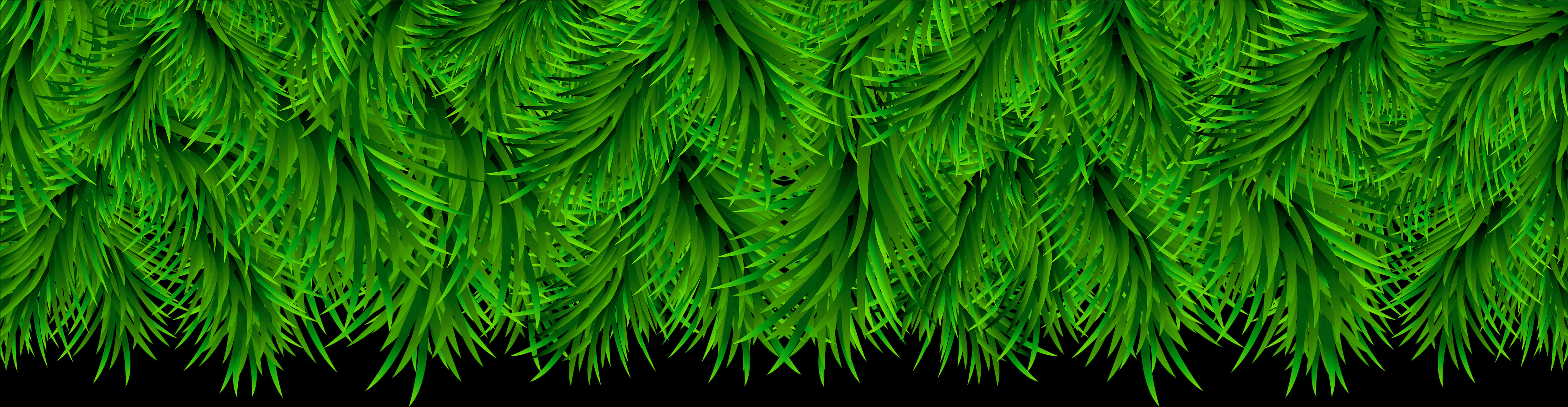 Green Fern Border Design PNG Image