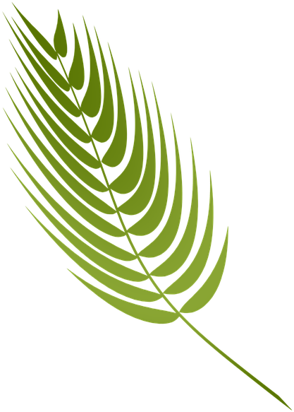 Green Fern Leaf Graphic PNG Image