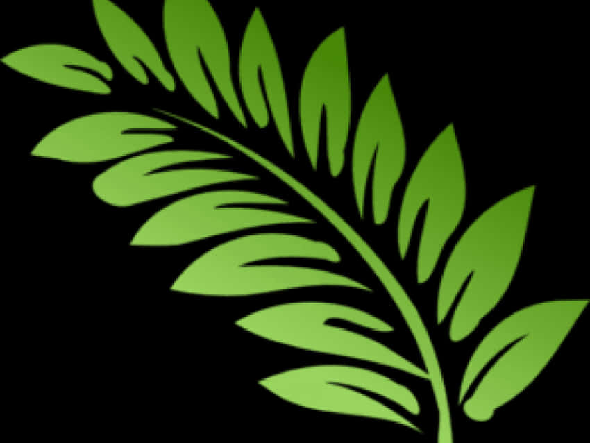 Green Fern Leaf Graphic PNG Image