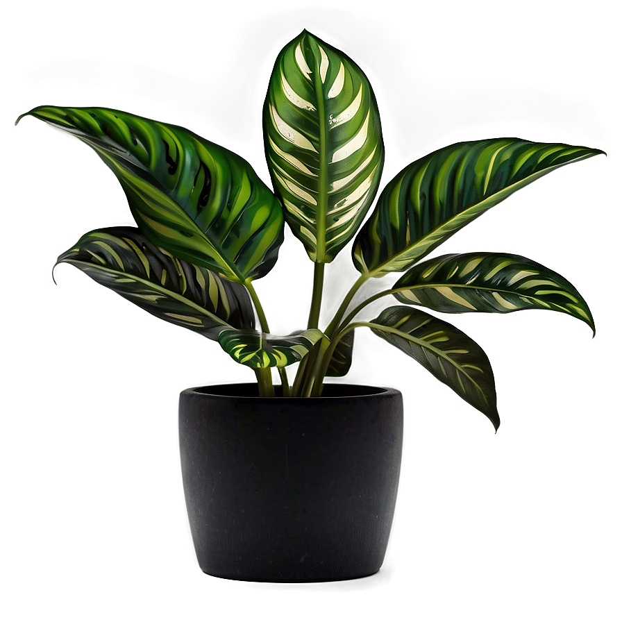 Green Floor Plant Png 27 PNG Image