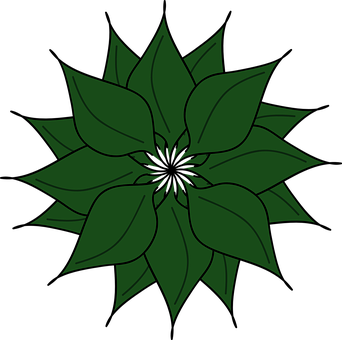 Green Floral Graphic Illustration PNG Image