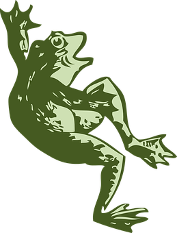 Green Frog Illustration PNG Image