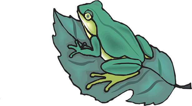 Green Frog On Leaf Illustration PNG Image