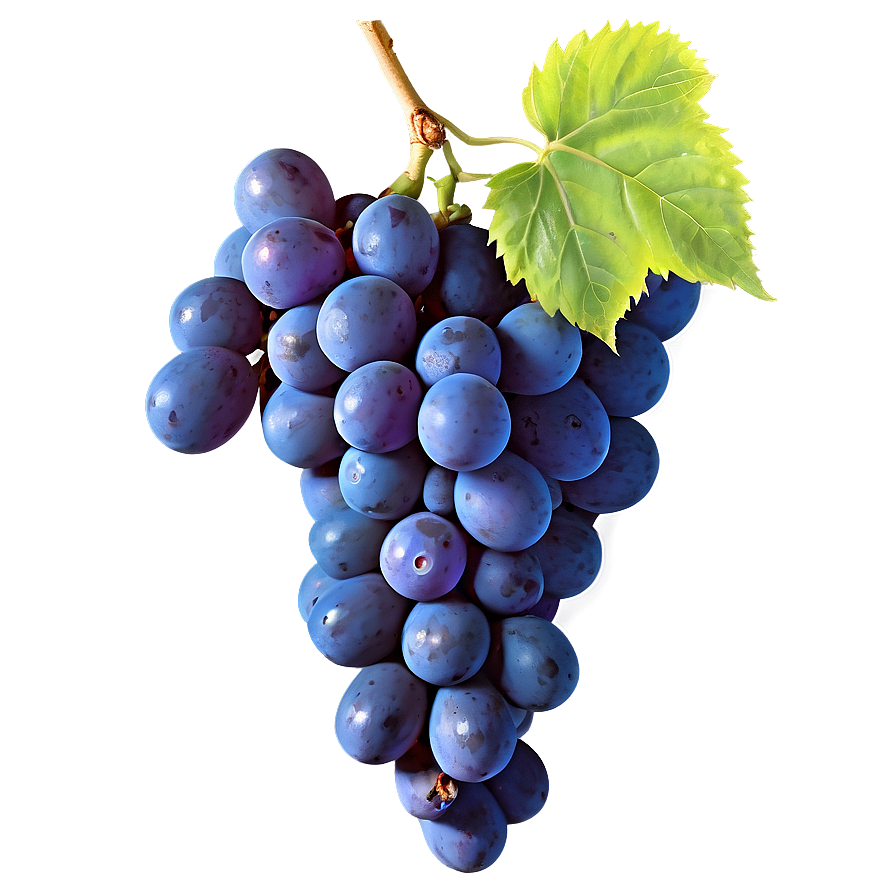 Green Grape Png 05212024 PNG Image