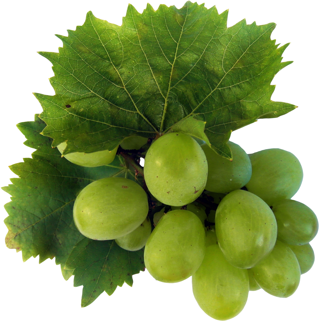 Green Grapeswith Leaves PNG Image