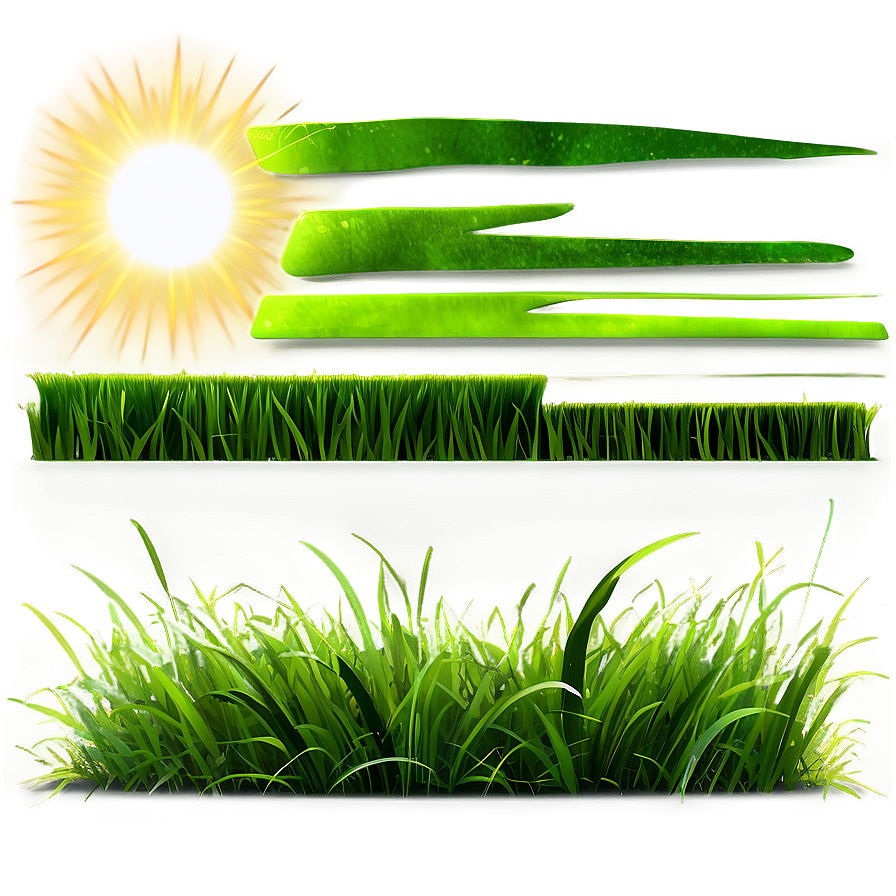 Green Grass And Sunshine Png Gsr PNG Image