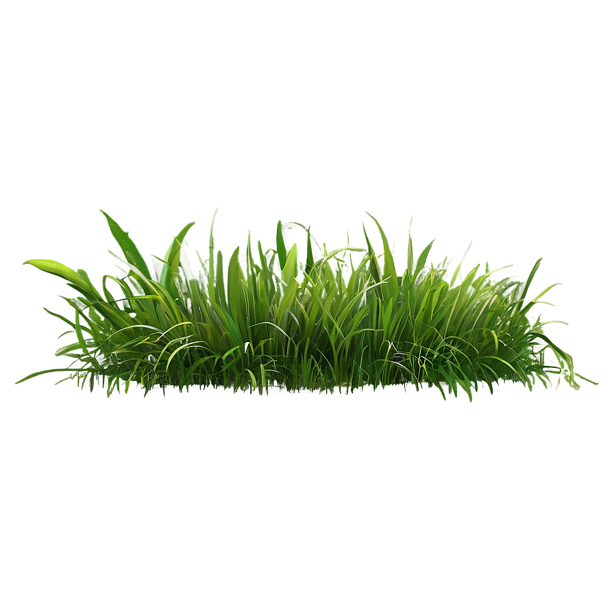 Green Grass B PNG Image