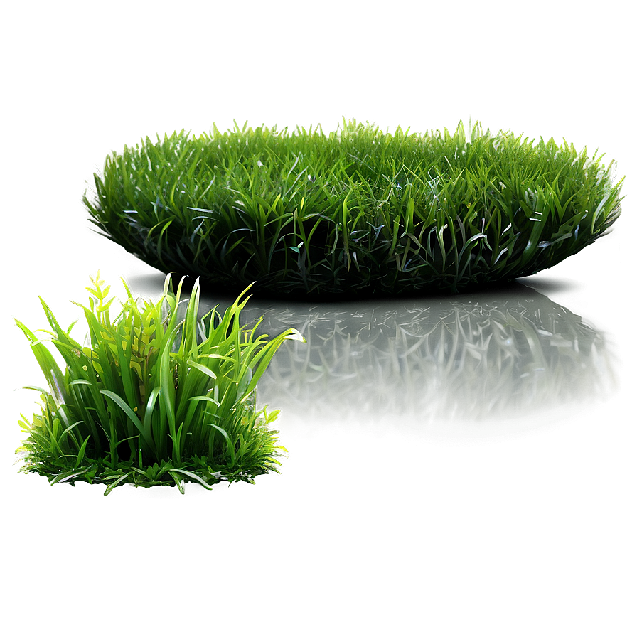 Green Grass C PNG Image