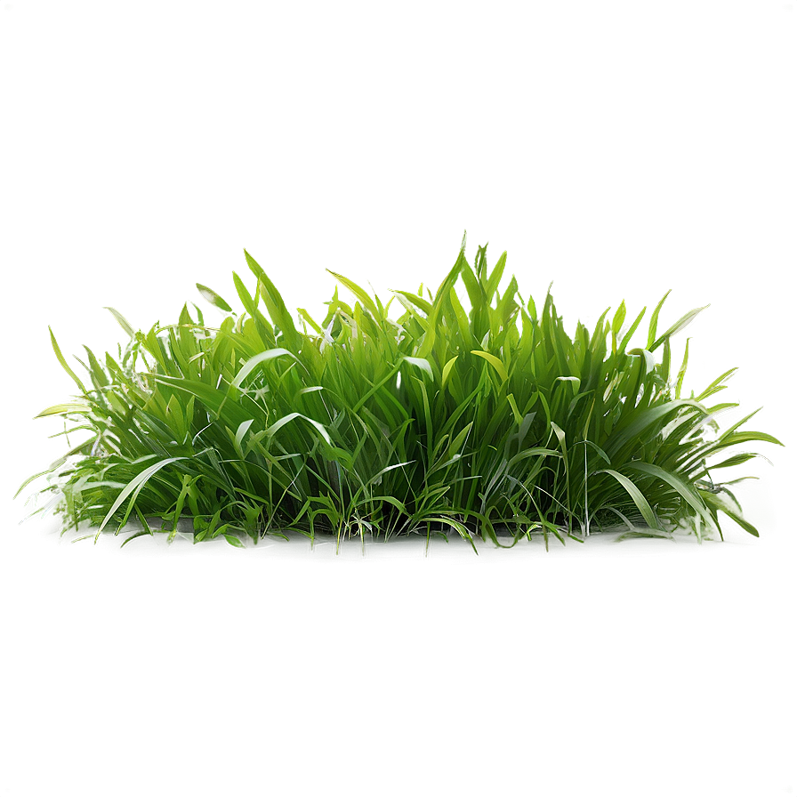 Green Grass D PNG Image