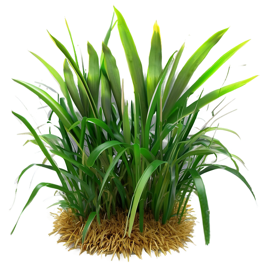 Green Grass Field Png Oub27 PNG Image