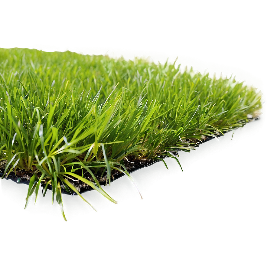 Green Grass In Wind Png Bps PNG Image