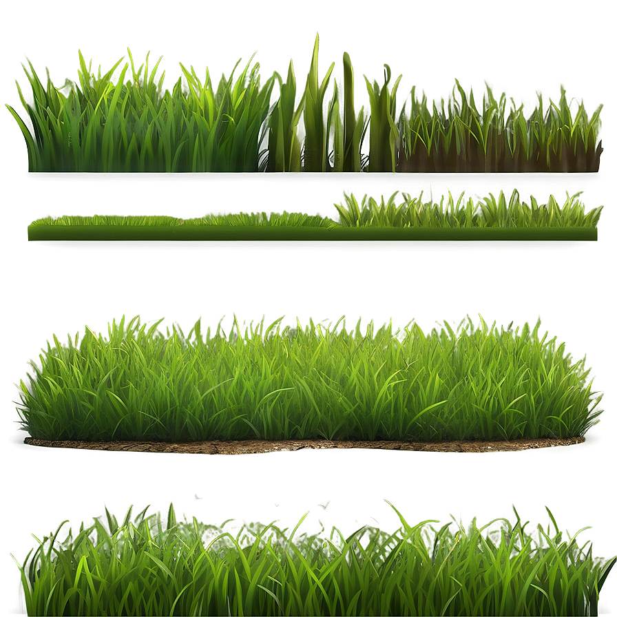 Green Grass Meadow Png 72 PNG Image