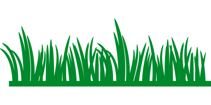 Green Grass Silhouetteon Black Background PNG Image