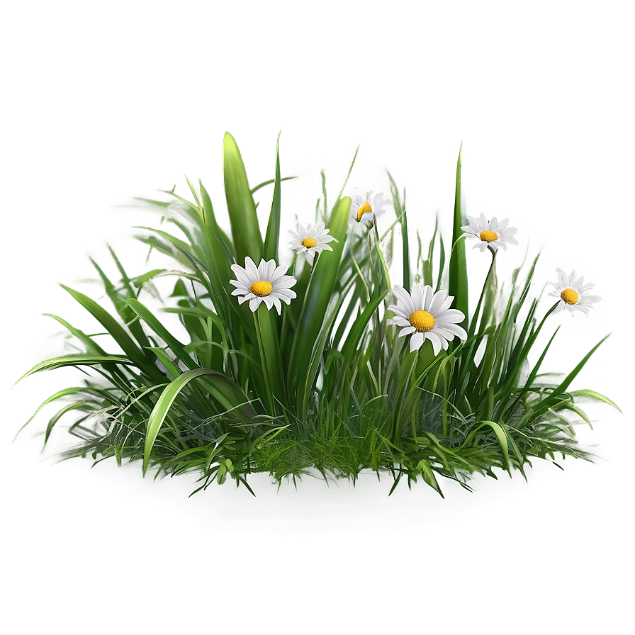 Green Grass With Flowers Png Wiw PNG Image