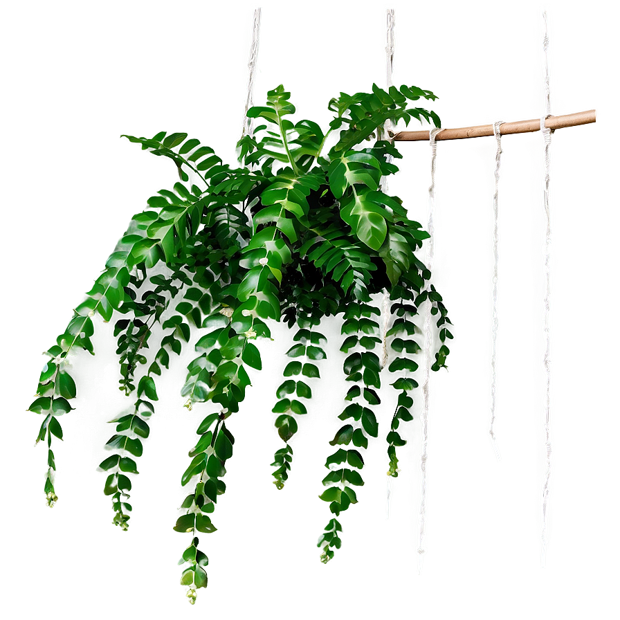 Green Hanging Plant Png Anc63 PNG Image