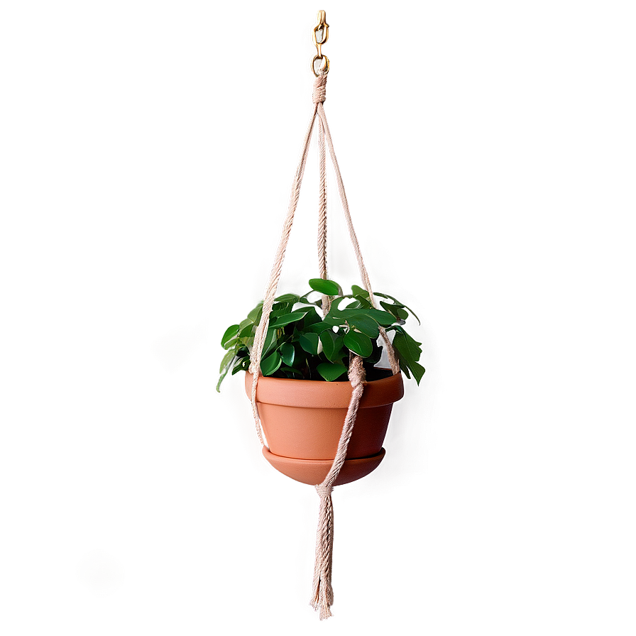 Green Hanging Plant Png Jqm45 PNG Image