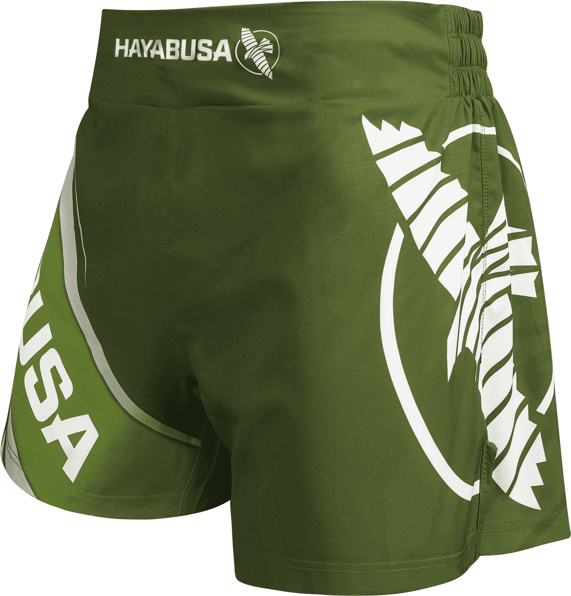 Green Hayabusa Kickboxing Shorts PNG Image