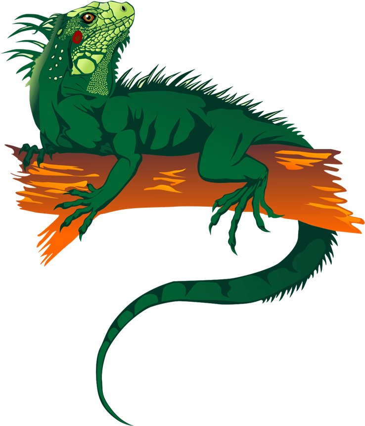 Green Iguana Illustration PNG Image