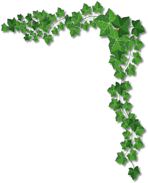 Green Ivy Corner Decoration PNG Image