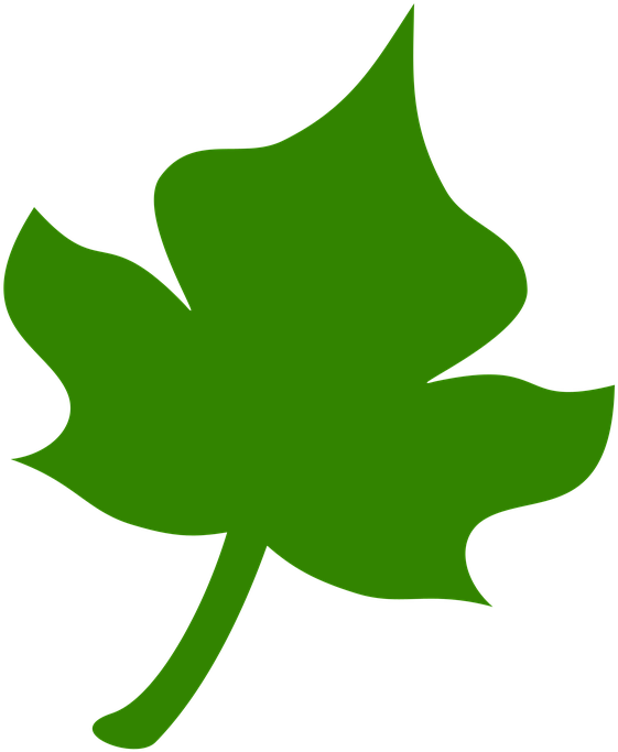 Green Ivy Leaf Graphic PNG Image