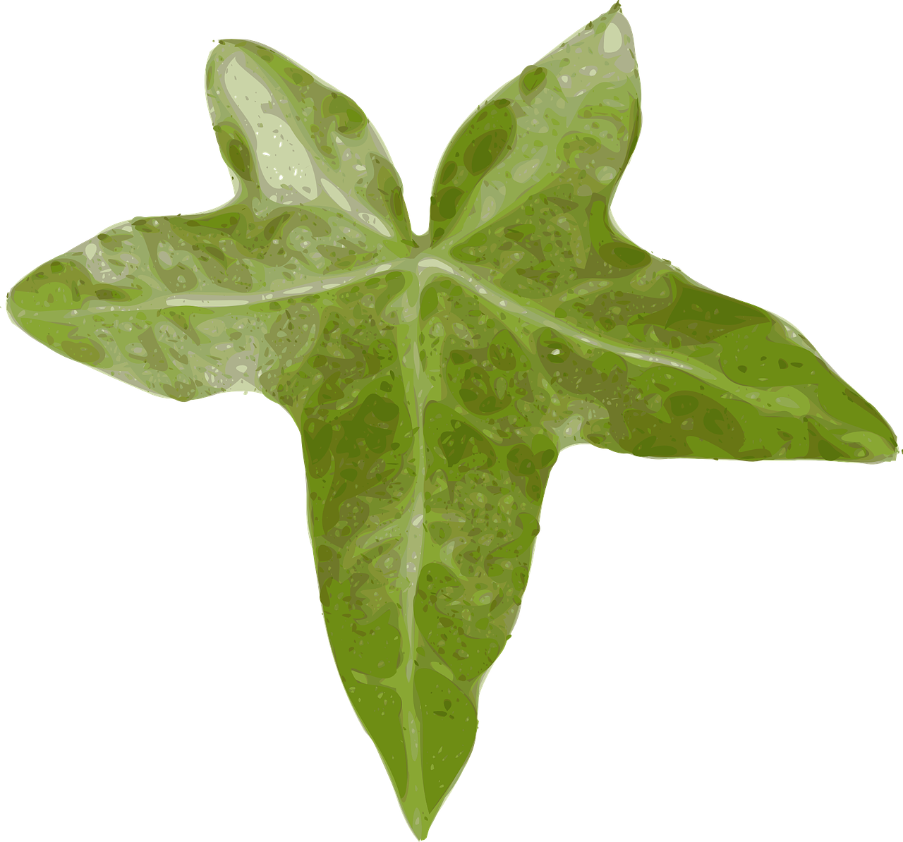 Green Ivy Leaf Illustration PNG Image