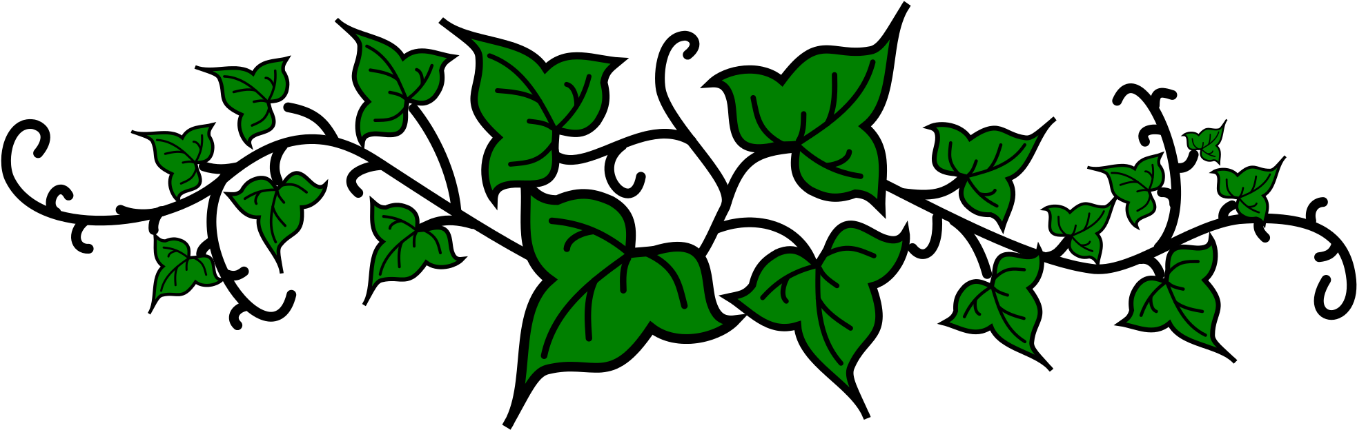 Green Ivy Vine Illustration PNG Image