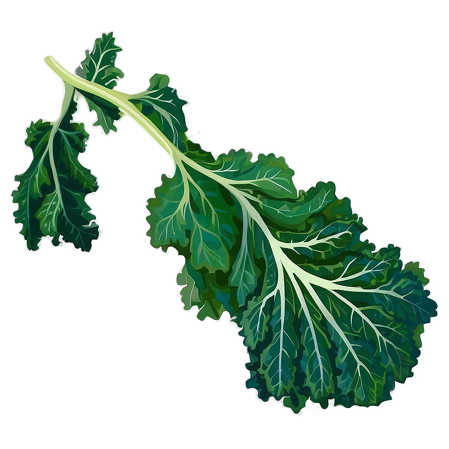 Green Kale Leaf Png 06252024 PNG Image