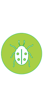 Green Ladybug Icon PNG Image