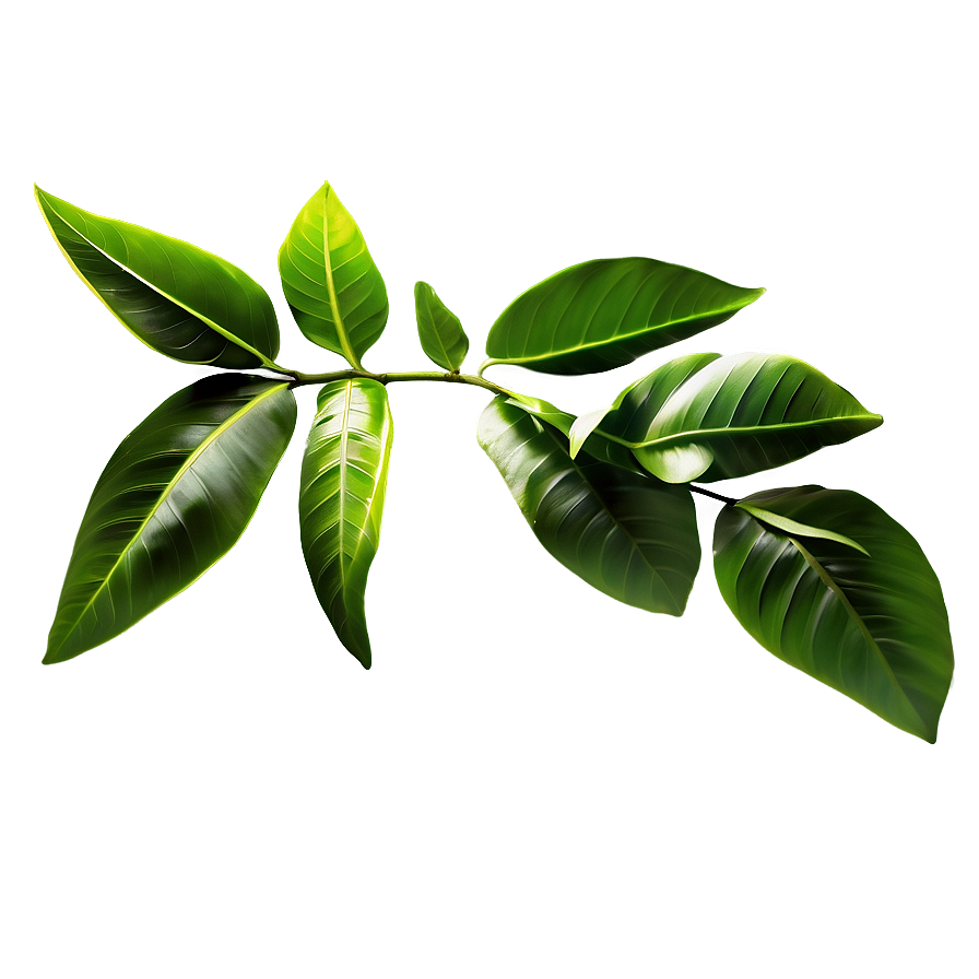 Green Laurel Leaves Png Dpd93 PNG Image