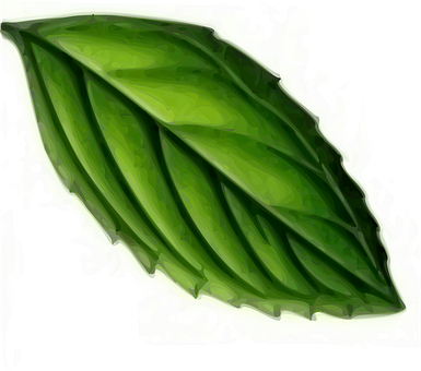 Green Leaf Artistic Representation PNG Image