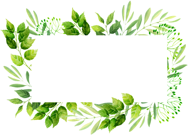 Green Leaf Decorative Frame PNG Image