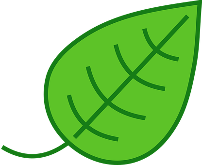 Green Leaf Graphic PNG Image