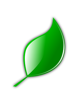 Green Leaf Graphicon Black Background PNG Image