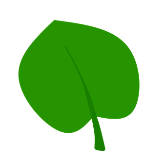 Green Leaf Graphicon Black Background PNG Image