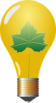 Green Leaf In Lightbulb Illustration PNG Image