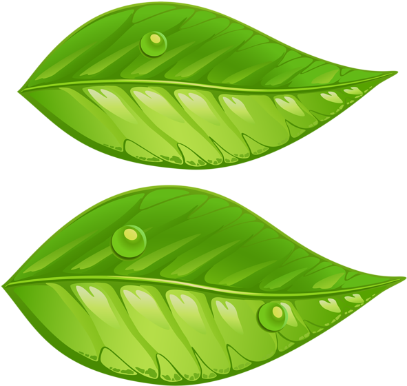 Green Leaf Lips Illustration PNG Image