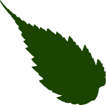 Green Leaf Silhouette PNG Image