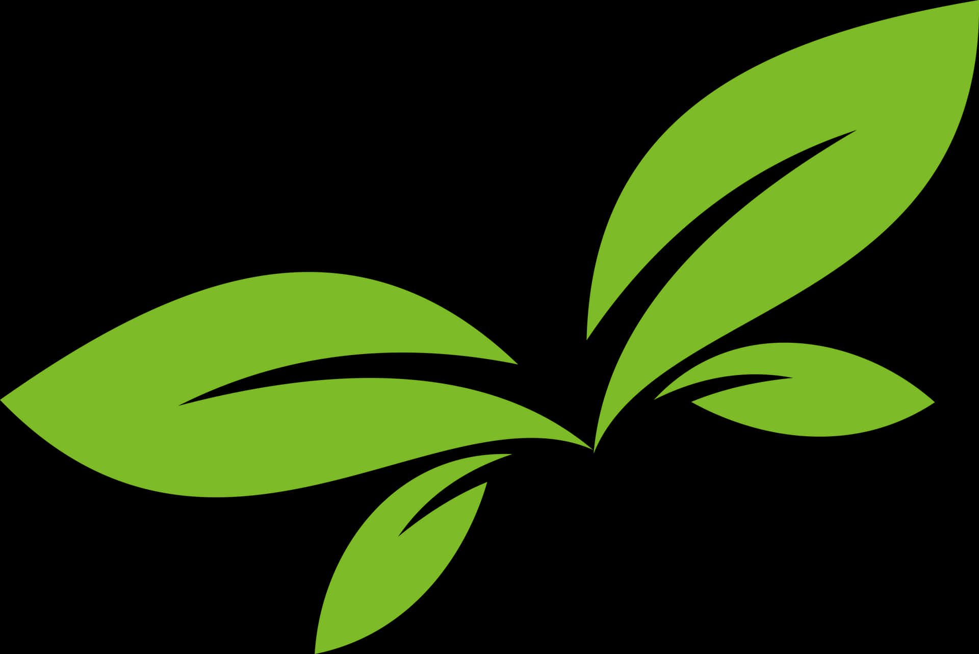 Green Leaf Vector Art PNG Image