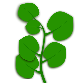 Green Leaf Vector Arton Black Background PNG Image