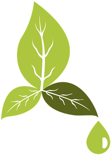 Green Leaf Veins Vector PNG Image