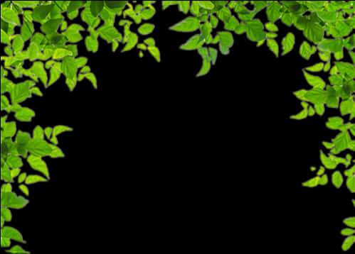 Green Leafy Frame Background PNG Image